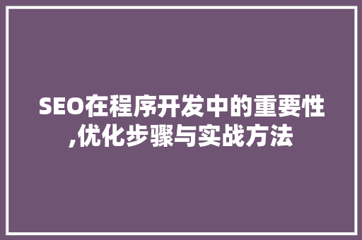 SEO在程序开发中的重要性,优化步骤与实战方法