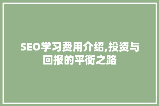 SEO学习费用介绍,投资与回报的平衡之路