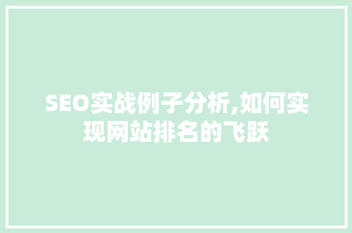 SEO实战例子分析,如何实现网站排名的飞跃