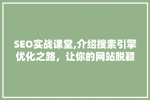 SEO实战课堂,介绍搜索引擎优化之路，让你的网站脱颖而出
