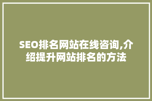 SEO排名网站在线咨询,介绍提升网站排名的方法