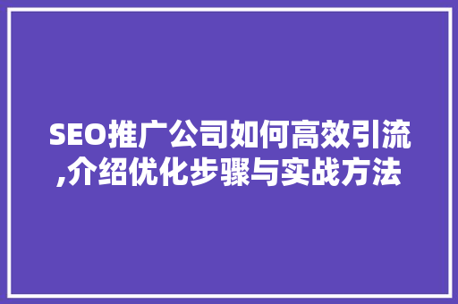 SEO推广公司如何高效引流,介绍优化步骤与实战方法