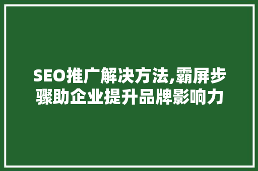 SEO推广解决方法,霸屏步骤助企业提升品牌影响力