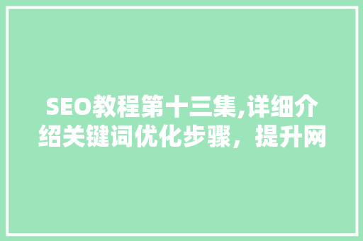 SEO教程第十三集,详细介绍关键词优化步骤，提升网站排名