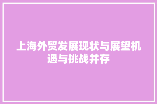 上海外贸发展现状与展望机遇与挑战并存