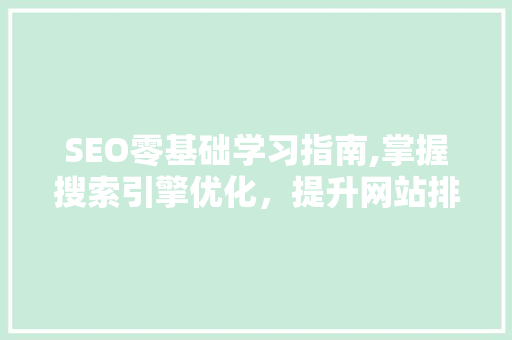 SEO零基础学习指南,掌握搜索引擎优化，提升网站排名