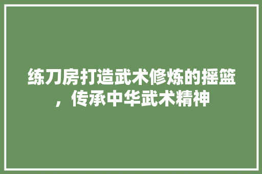 练刀房打造武术修炼的摇篮，传承中华武术精神