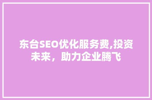 东台SEO优化服务费,投资未来，助力企业腾飞