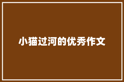 介绍SEO优化培训,如何选择优质课程，助力网站排名腾飞