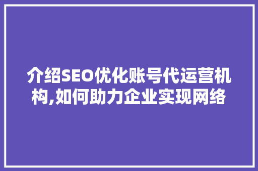 介绍SEO优化账号代运营机构,如何助力企业实现网络营销突破