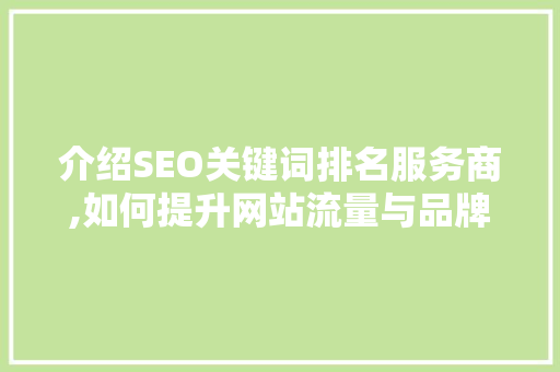 介绍SEO关键词排名服务商,如何提升网站流量与品牌影响力