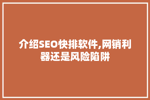 介绍SEO快排软件,网销利器还是风险陷阱