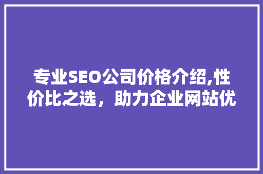 专业SEO公司价格介绍,性价比之选，助力企业网站优化