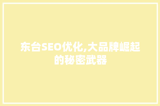 东台SEO优化,大品牌崛起的秘密武器
