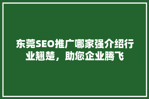 东莞SEO推广哪家强介绍行业翘楚，助您企业腾飞