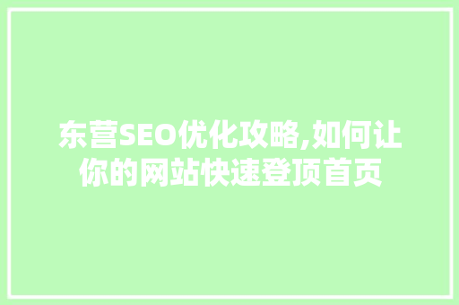 东营SEO优化攻略,如何让你的网站快速登顶首页