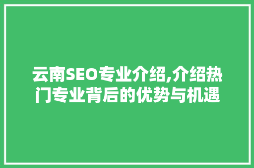 云南SEO专业介绍,介绍热门专业背后的优势与机遇