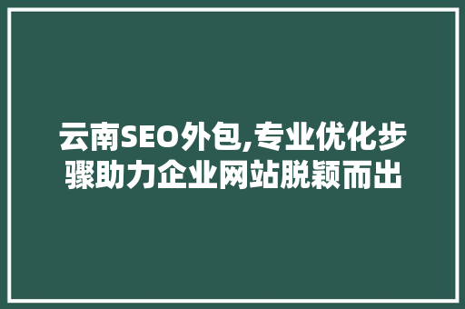 云南SEO外包,专业优化步骤助力企业网站脱颖而出