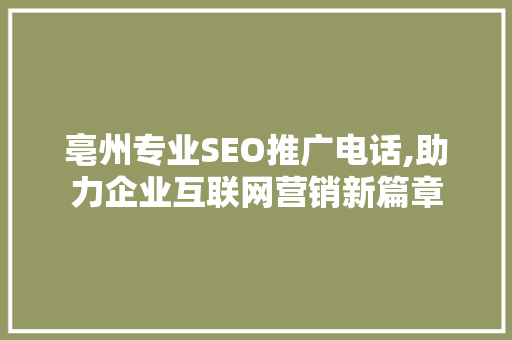亳州专业SEO推广电话,助力企业互联网营销新篇章