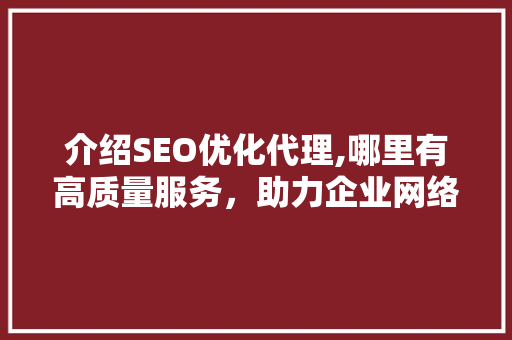 介绍SEO优化代理,哪里有高质量服务，助力企业网络营销腾飞