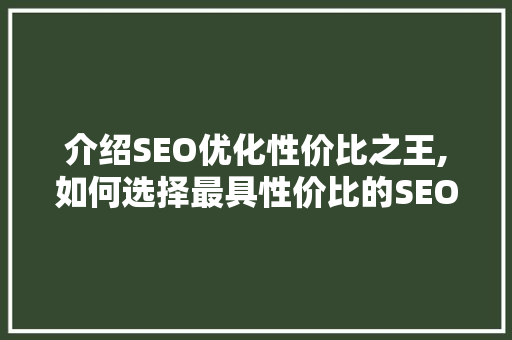 介绍SEO优化性价比之王,如何选择最具性价比的SEO服务