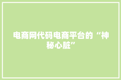 电商网代码电商平台的“神秘心脏”
