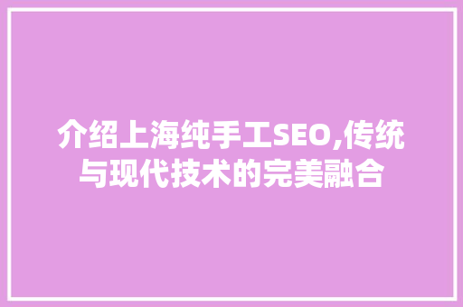 介绍上海纯手工SEO,传统与现代技术的完美融合