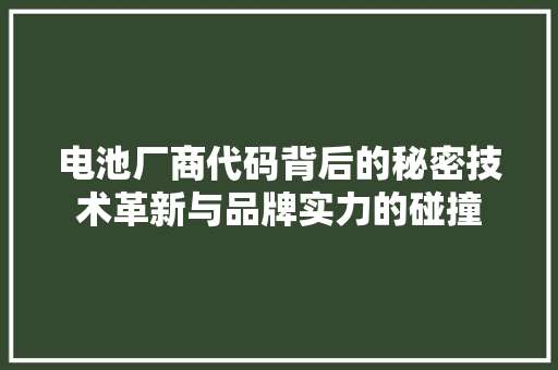 电池厂商代码背后的秘密技术革新与品牌实力的碰撞