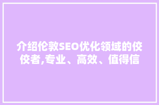 介绍伦敦SEO优化领域的佼佼者,专业、高效、值得信赖