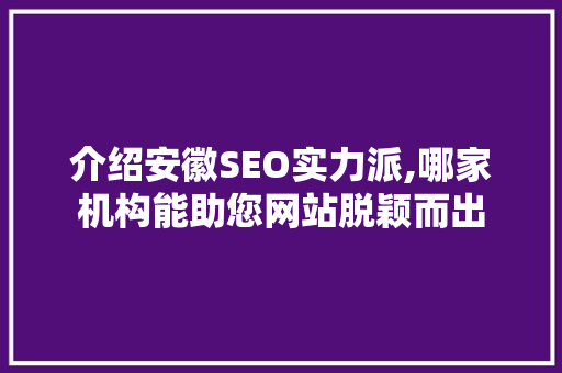 介绍安徽SEO实力派,哪家机构能助您网站脱颖而出