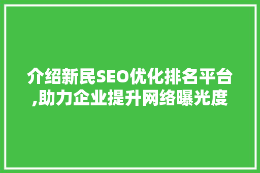 介绍新民SEO优化排名平台,助力企业提升网络曝光度与竞争力