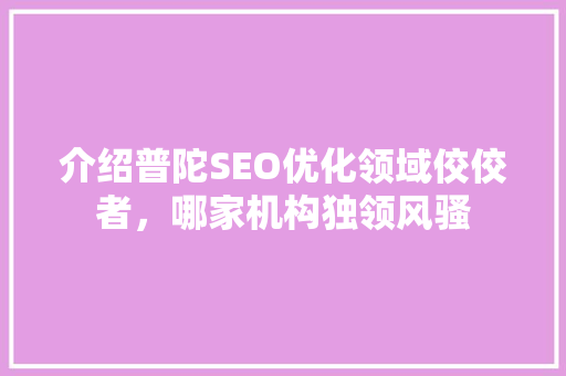 介绍普陀SEO优化领域佼佼者，哪家机构独领风骚
