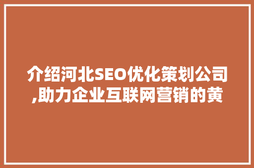 介绍河北SEO优化策划公司,助力企业互联网营销的黄金钥匙