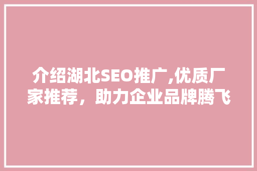 介绍湖北SEO推广,优质厂家推荐，助力企业品牌腾飞