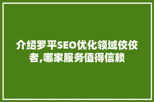介绍罗平SEO优化领域佼佼者,哪家服务值得信赖