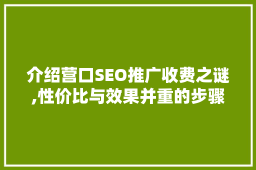 介绍营口SEO推广收费之谜,性价比与效果并重的步骤