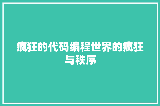 疯狂的代码编程世界的疯狂与秩序