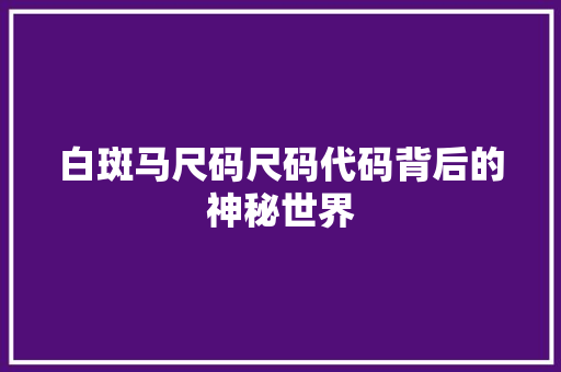 白斑马尺码尺码代码背后的神秘世界