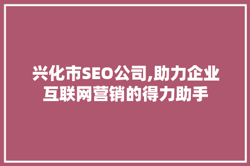 兴化市SEO公司,助力企业互联网营销的得力助手