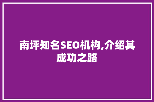南坪知名SEO机构,介绍其成功之路