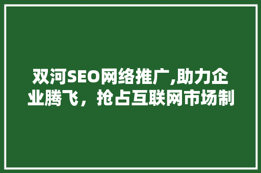 双河SEO网络推广,助力企业腾飞，抢占互联网市场制高点