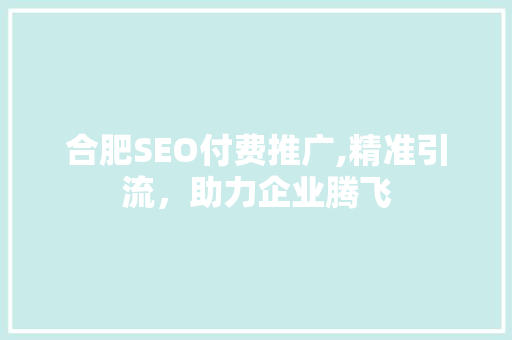 合肥SEO付费推广,精准引流，助力企业腾飞