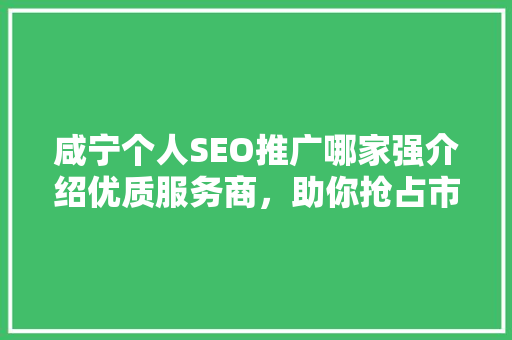 咸宁个人SEO推广哪家强介绍优质服务商，助你抢占市场先机