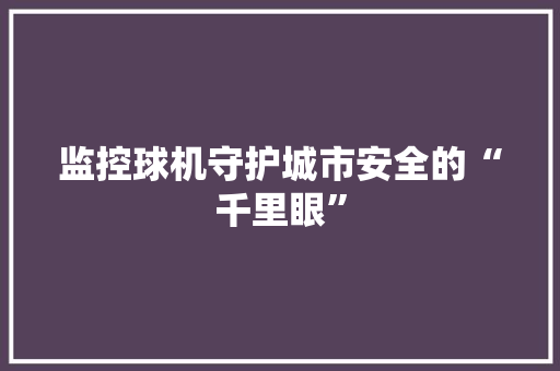 监控球机守护城市安全的“千里眼”