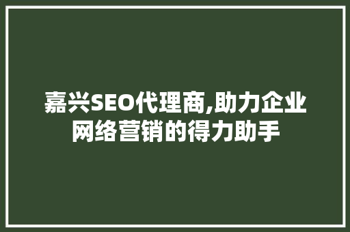 嘉兴SEO代理商,助力企业网络营销的得力助手