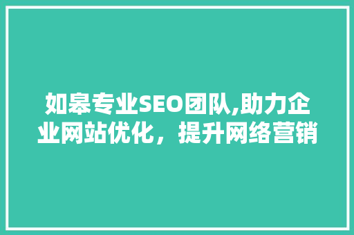 如皋专业SEO团队,助力企业网站优化，提升网络营销竞争力