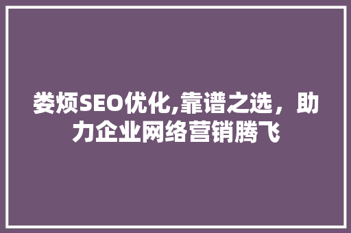 娄烦SEO优化,靠谱之选，助力企业网络营销腾飞
