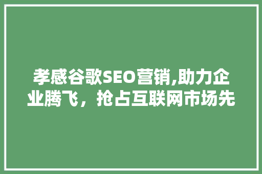 孝感谷歌SEO营销,助力企业腾飞，抢占互联网市场先机