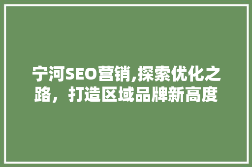 宁河SEO营销,探索优化之路，打造区域品牌新高度