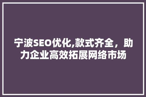 宁波SEO优化,款式齐全，助力企业高效拓展网络市场  第1张